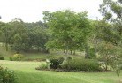 Maylands SAresidential-landscaping-40.jpg; ?>